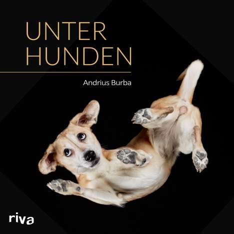 Andrius Burba: Unter Hunden, Buch
