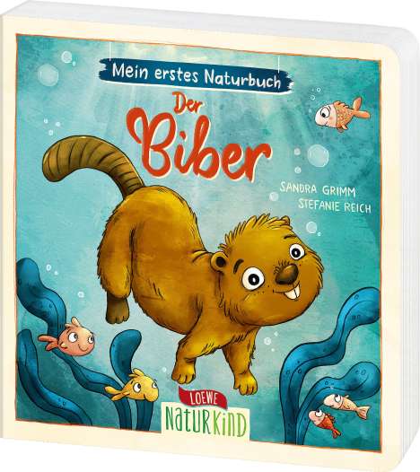 Sandra Grimm: Mein erstes Naturbuch - Der Biber, Buch