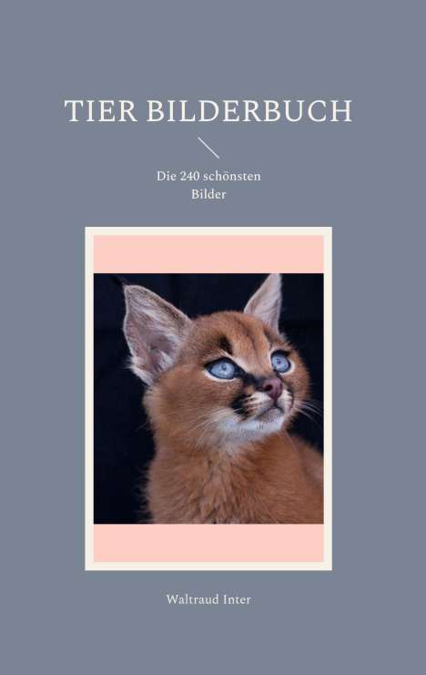 Waltraud Inter: Tier Bilderbuch, Buch