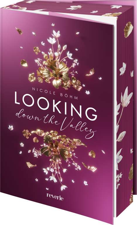 Nicole Böhm: Looking down the Valley, Buch