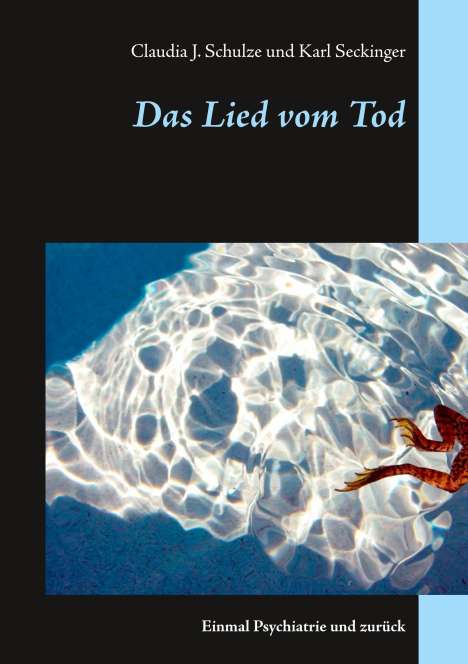 Claudia J. Schulze: Schulze, C: Lied vom Tod, Buch