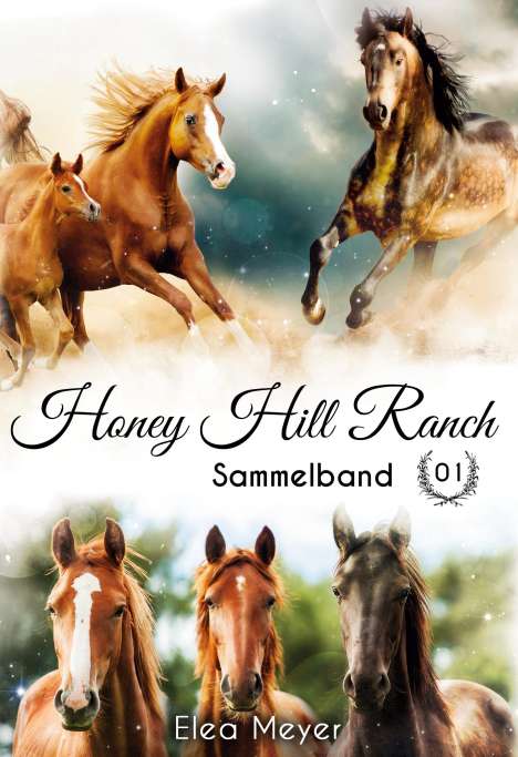 Elea Meyer: Honey Hill Ranch, Buch