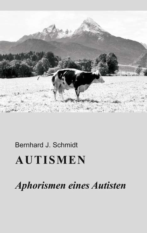 Bernhard J. Schmidt: Schmidt, B: Autismen, Buch