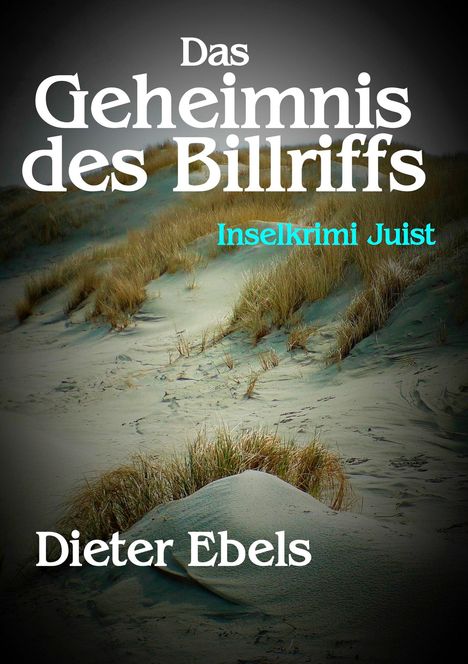 Dieter Ebels: Das Geheimnis des Billriffs, Buch