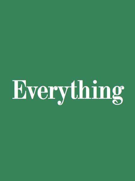 Everything 6-10/5 Bde., Buch
