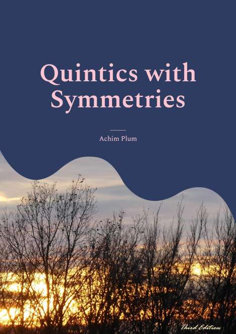 Achim Plum: Quintics with Symmetries, Buch