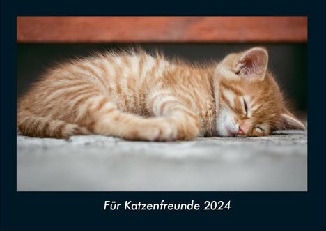 Tobias Becker: Für Katzenfreunde 2024 Fotokalender DIN A4, Kalender