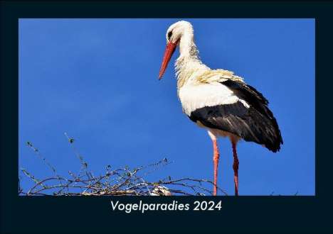 Tobias Becker: Vogelparadies 2024 Fotokalender DIN A5, Kalender