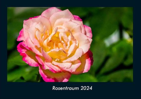Tobias Becker: Rosentraum 2024 Fotokalender DIN A4, Kalender