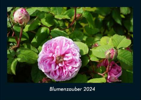 Tobias Becker: Blumenzauber 2024 Fotokalender DIN A4, Kalender