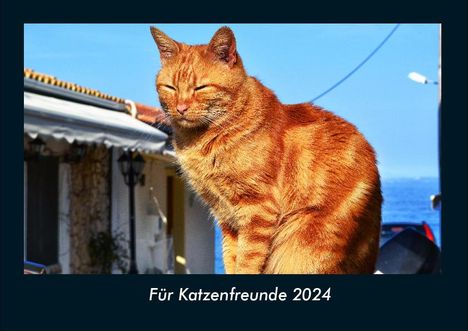 Tobias Becker: Für Katzenfreunde 2024 Fotokalender DIN A4, Kalender