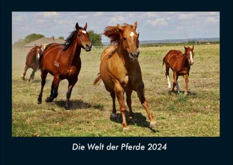 Tobias Becker: Die Welt der Pferde 2024 Fotokalender DIN A4, Kalender