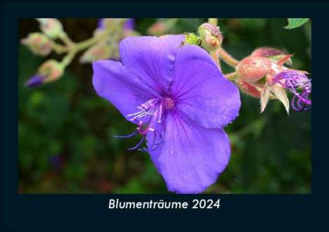 Tobias Becker: Blumenträume 2024 Fotokalender DIN A5, Kalender