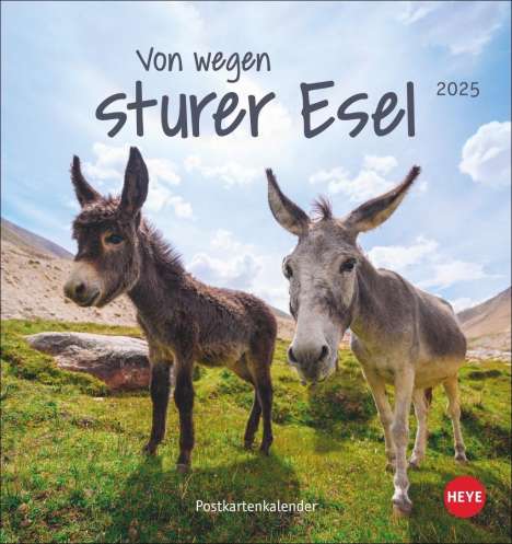 Esel Postkartenkalender 2025 - Von wegen sturer Esel, Kalender