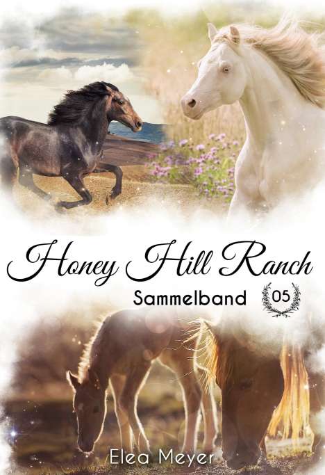 Elea Meyer: Honey Hill Ranch, Buch