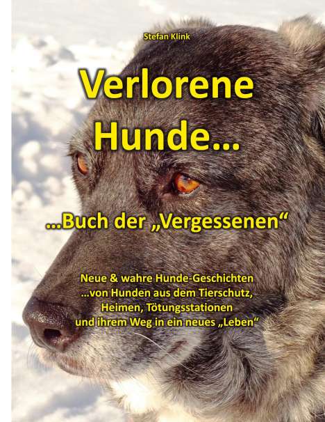 Stefan Klink: Verlorene Hunde, Buch