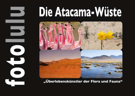 Sr. Fotolulu: Die Atacama-Wüste, Buch