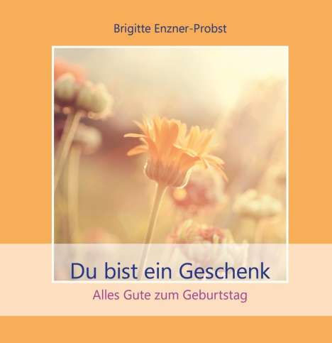 Brigitte Enzner-Probst: Enzner-Probst, B: Du bist ein Geschenk, Buch
