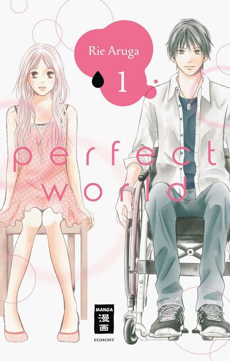 Rie Aruga: Aruga, R: Perfect World 01, Buch