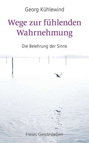 Georg Kühlewind: Wege zur fühlenden Wahrnehmung, Buch