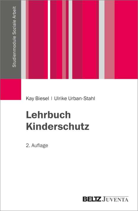 Kay Biesel: Lehrbuch Kinderschutz, Buch