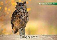 Eulen 2020, Kalender