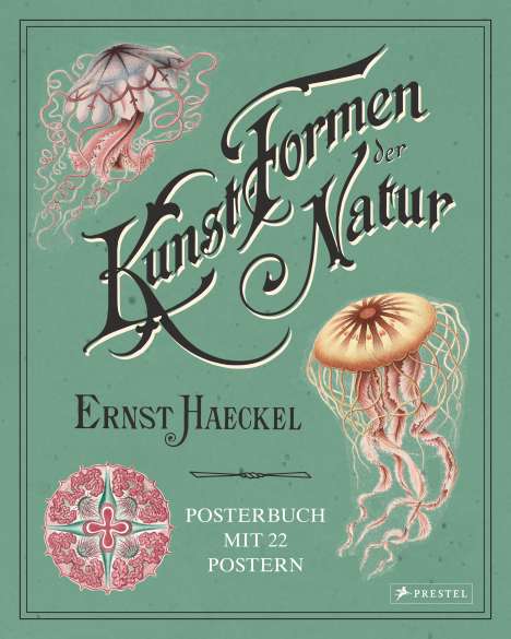 Kira Uthoff: Uthoff, K: Ernst Haeckel: Kunstformen der Natur. Posterbuch, Buch