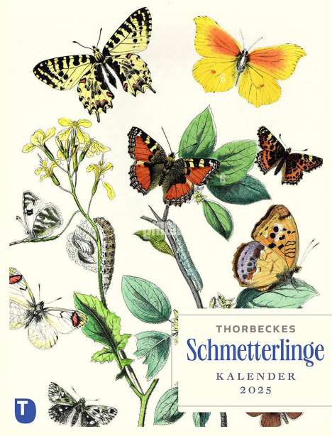 Thorbeckes Schmetterlinge-Kalender 2025, Kalender