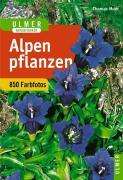 Thomas Muer: Alpenpflanzen, Buch