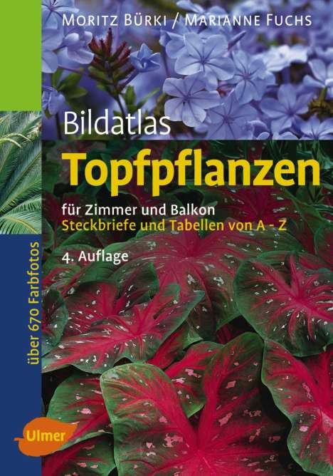 Moritz Bürki: Bildatlas Topfpflanzen für Zimmer und Balkon, Buch