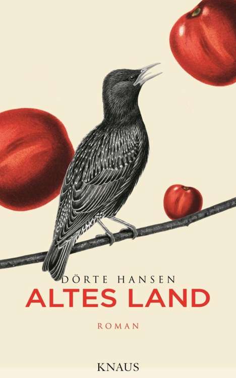Dörte Hansen: Altes Land, Buch