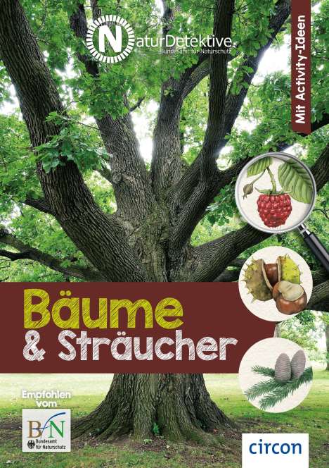 Ilonka Baberg: Kuhn, B: Naturdetektive Bäume und Sträucher, Buch