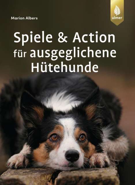 Marion Albers: Albers, M: Spiele und Action für ausgeglichene Hütehunde, Buch
