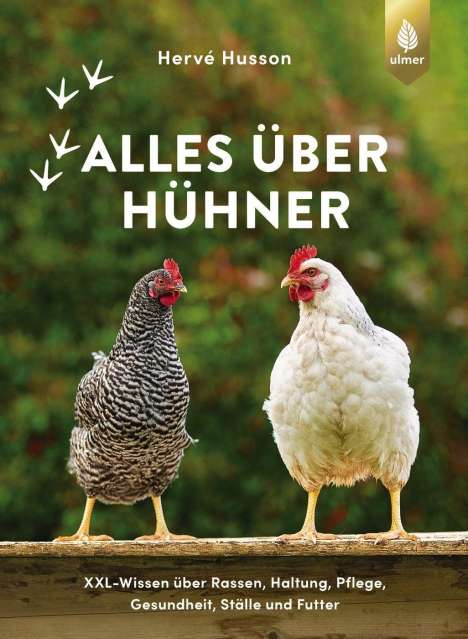 Hervé Husson: Alles über Hühner, Buch