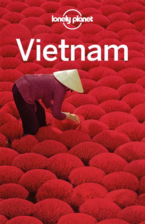 Iain Stewart: Stewart, I: Lonely Planet Reiseführer Vietnam, Buch