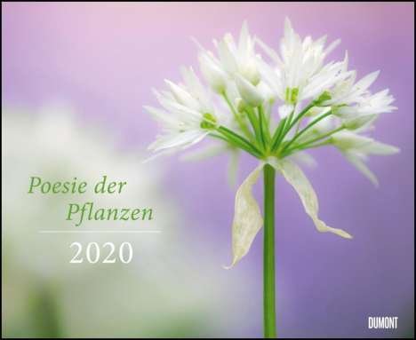 Poesie der Pflanzen 2020 - DUMONT Garten-Kalender - Querformat 52 x 42,5 cm - Spiralbindung, Diverse