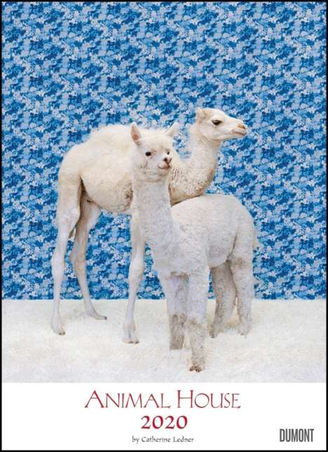 Animal House Kalender 2020 - DUMONT Tier-Kalender - Foto-Kunst - Poster-Format 49,5 x 68,5 cm, Diverse