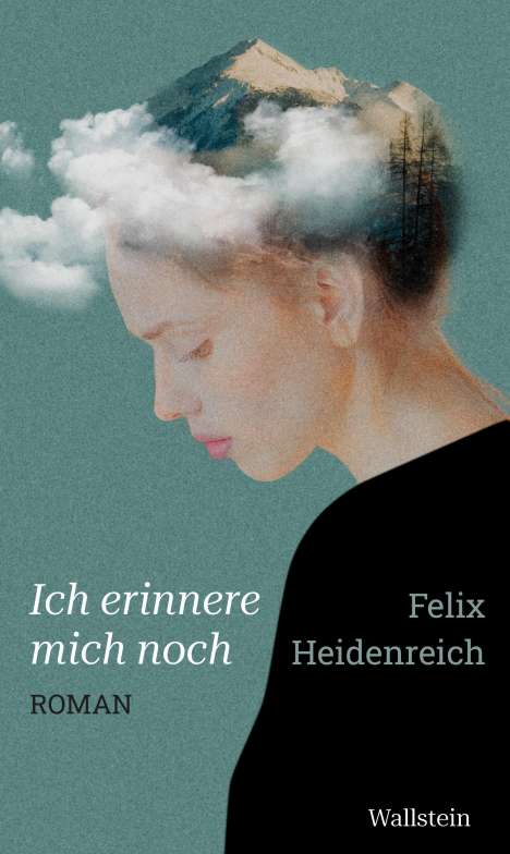Felix Heidenreich: Ich erinnere mich noch, Buch