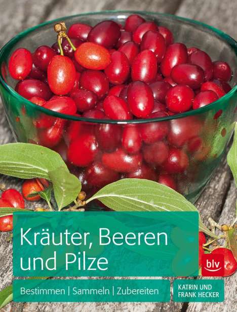 Frank Hecker: Hecker, F: Kräuter, Beeren und Pilze, Buch