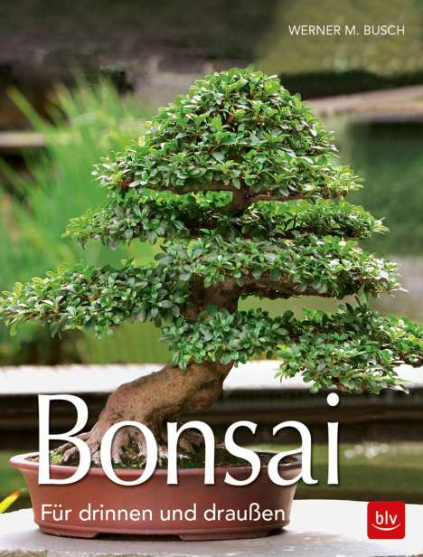 Werner M. Busch: Bonsai, Buch