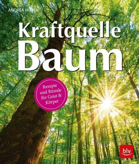 Andrea Huber: Kraftquelle Baum, Buch