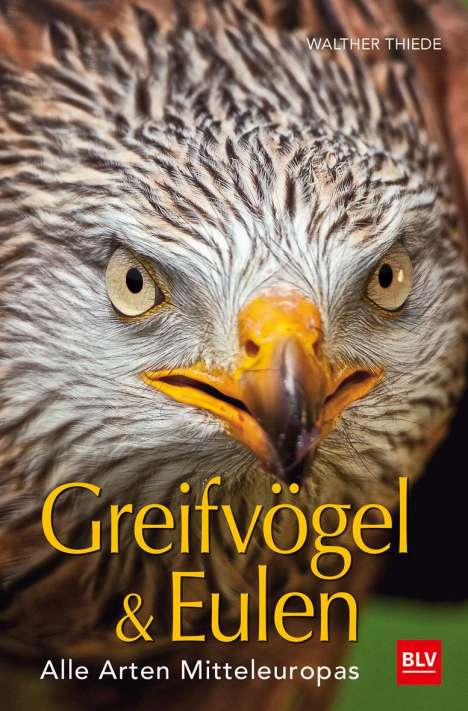 Walther Thiede: BLV Greifvögel &amp; Eulen, Buch