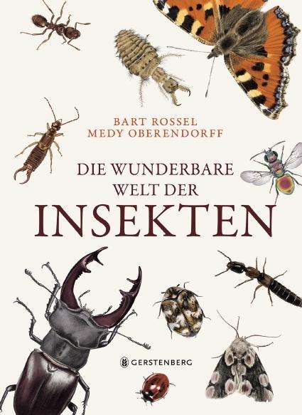 Bart Rossel: Rossel, B: Die wunderbare Welt der Insekten, Buch
