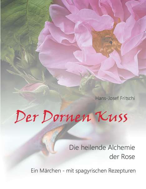 Hans-Josef Fritschi: Der Dornen Kuss, Buch