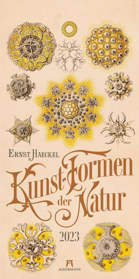 Ernst Haeckel: Kunst-Formen der Natur - Ernst Haeckel Kalender 2023, Kalender