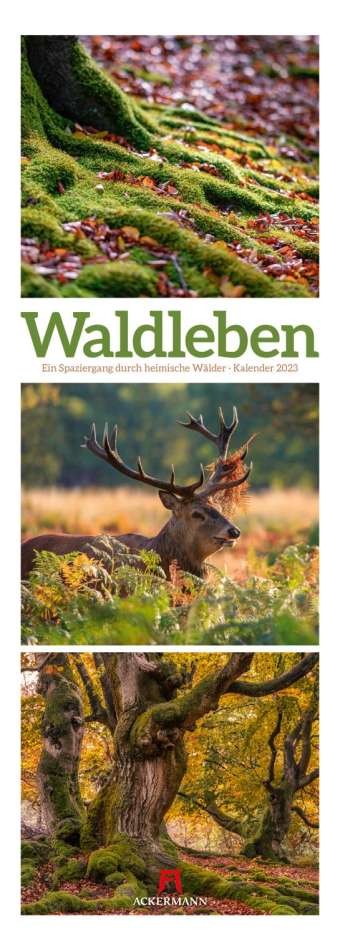 Waldleben 2023, Kalender