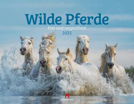 Ackermann Kunstverlag: Wilde Pferde Kalender 2025, Kalender