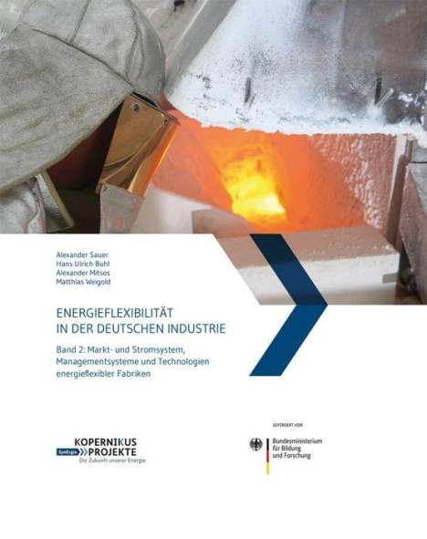 Energieflexibilität in der deutschen Industrie., Buch