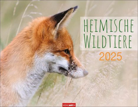 Heimische Wildtiere Kalender 2025, Kalender