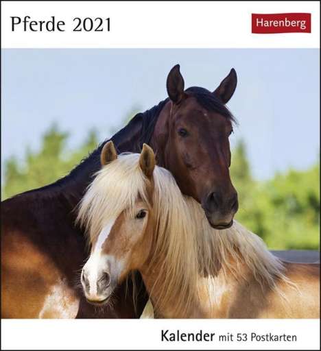Pferde 2020. Kalender mit 53 Postkarten, Diverse